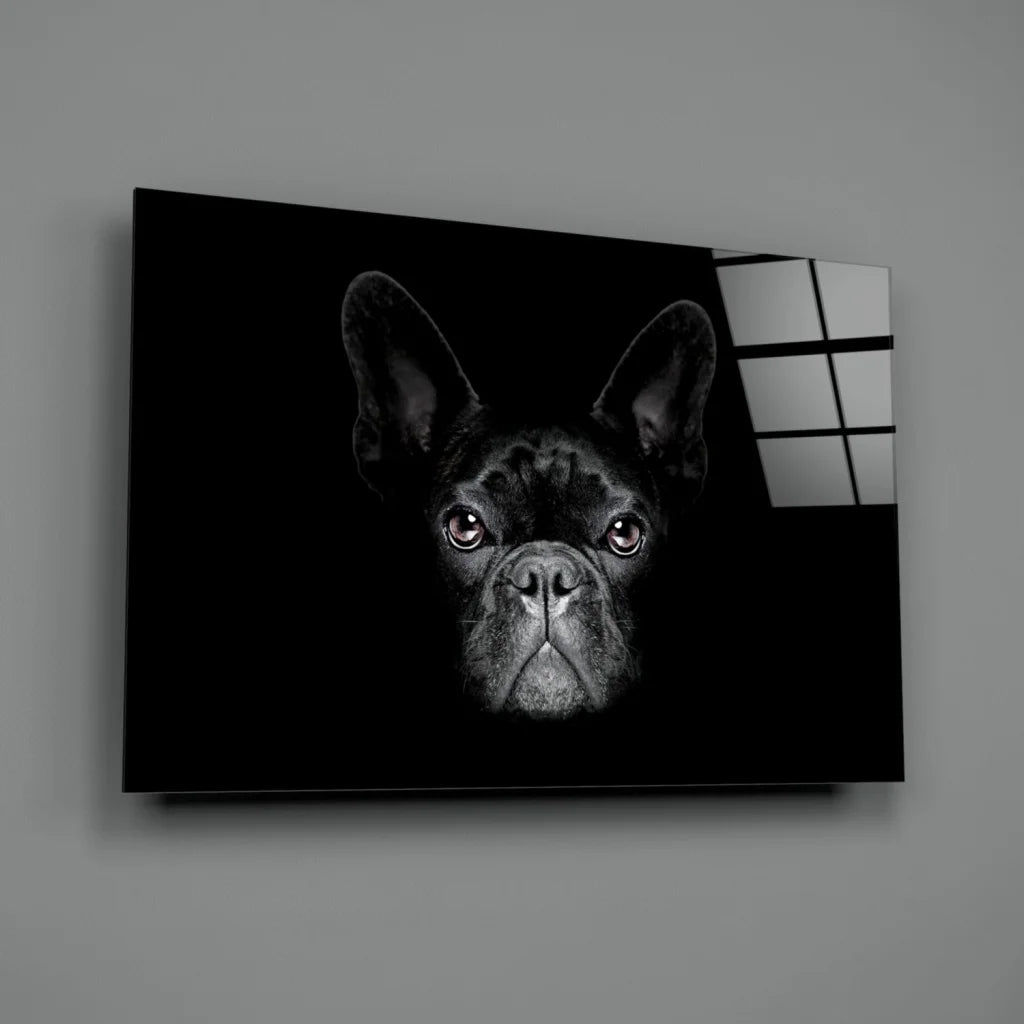 Black and white French bulldog canvas wall art with striking eyes