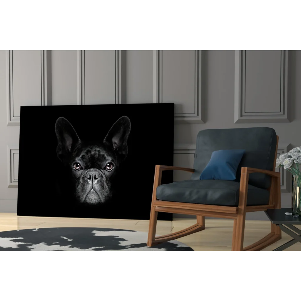 Bold black and white French bulldog canvas wall art portrait