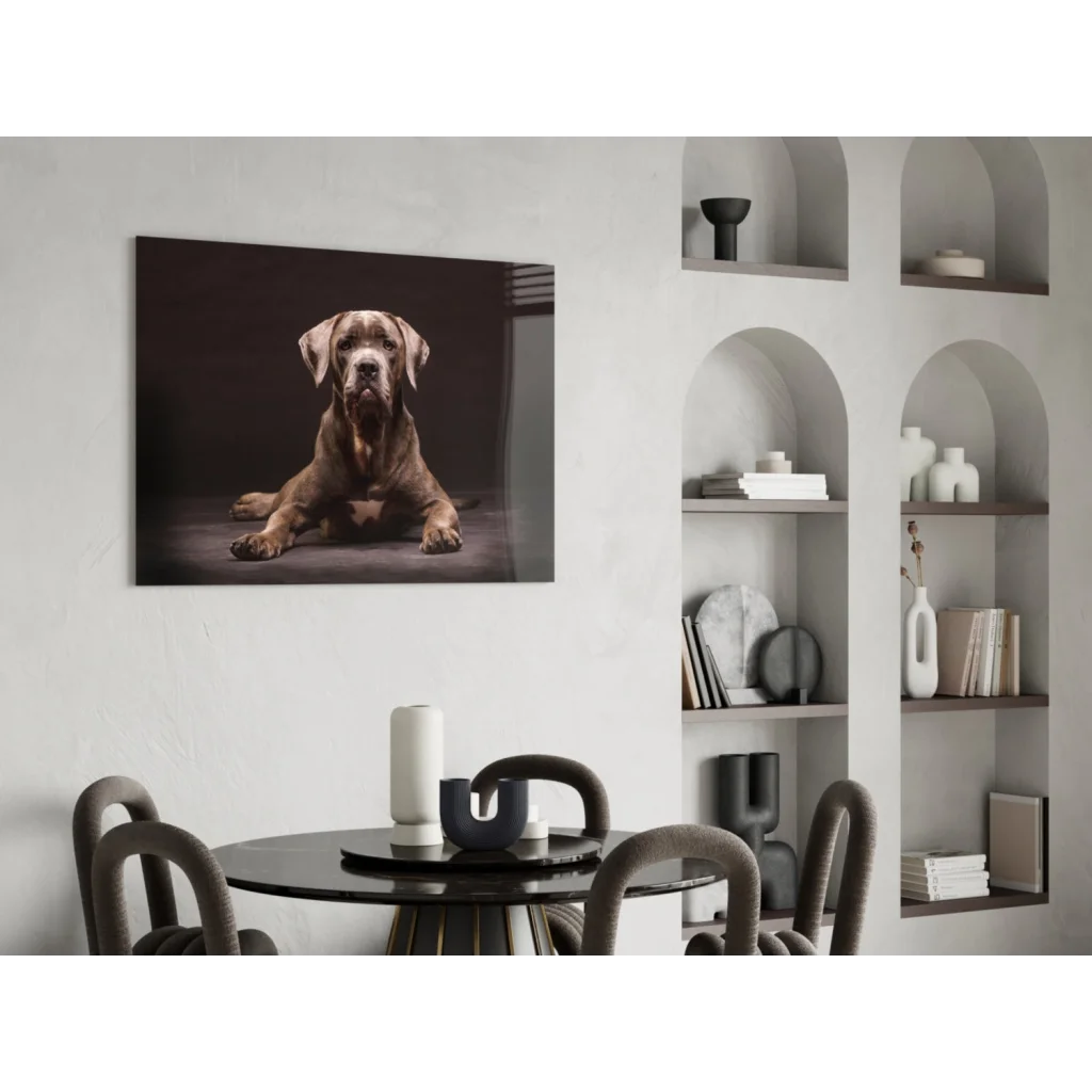 Dark brown Great Dane portrait on glass wall art mounted on white wall
