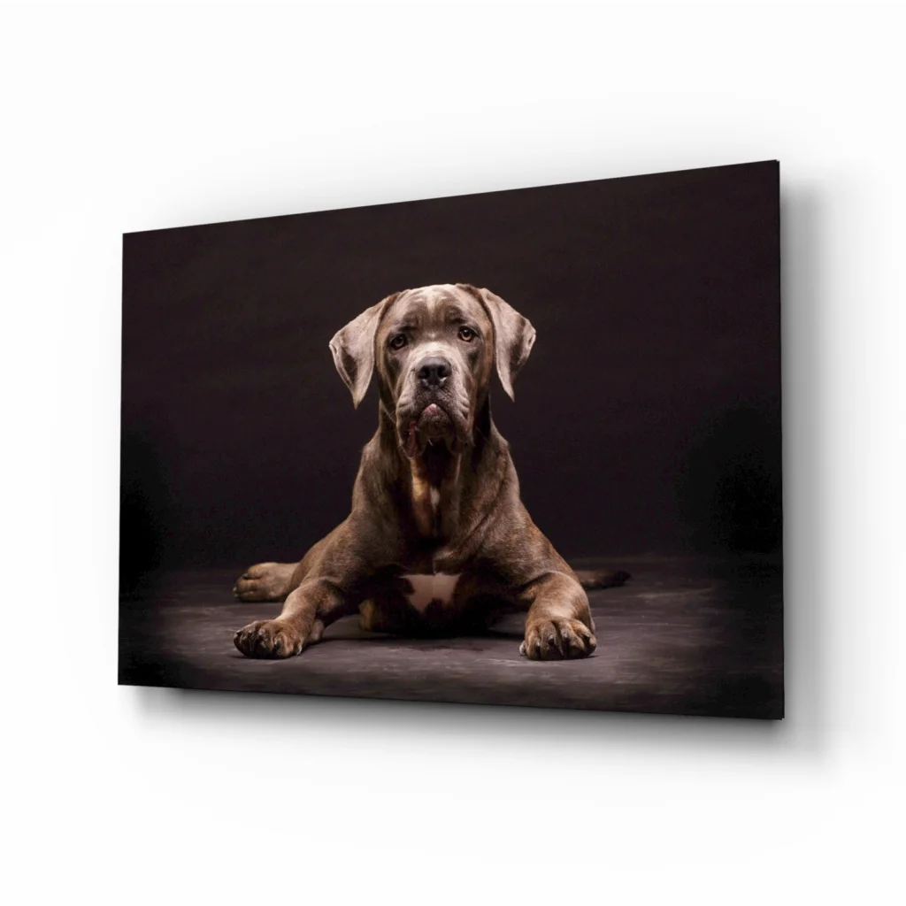 Stunning Glass Wall Art Prints for Your Space | Insigneart USA | vintageantiquesgifts.com