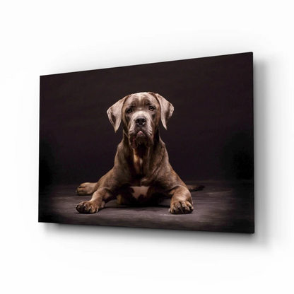 Stunning Glass Wall Art Prints for Your Space | Insigneart USA | vintageantiquesgifts.com