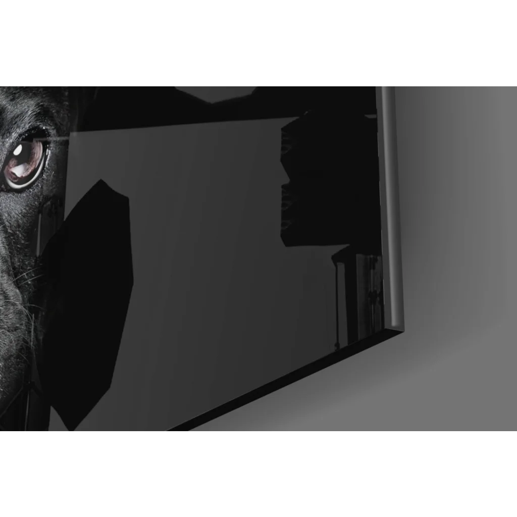 Black French bulldog eye peering through dark fragmented glass wall art