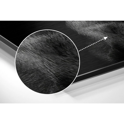 Badass Doberman portrait on brushed aluminium dibond with black textured fibrous pattern