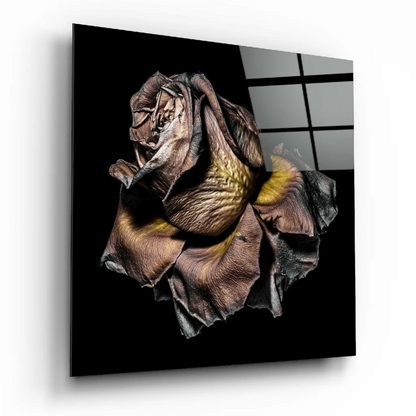 Stunning Wilted Rose Glass Wall Art in Black Frame | Insigneart USA | vintageantiquesgifts.com