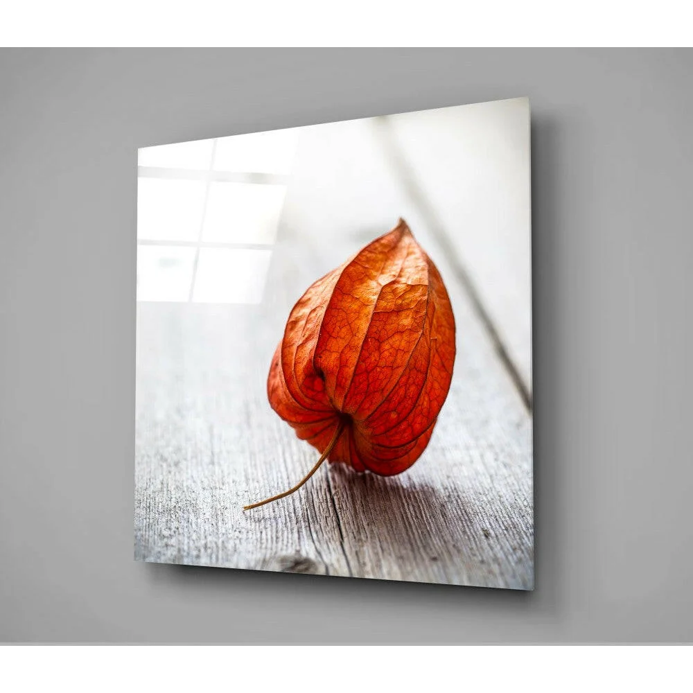 Vibrant orange physalis on wood in stunning red abstract glass wall art