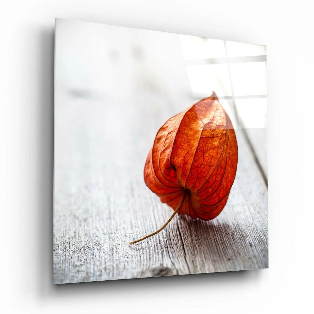 Vibrant orange translucent glass wall art lantern on rustic wood