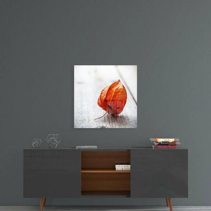 Vibrant orange translucent physalis on weathered wood glass wall art