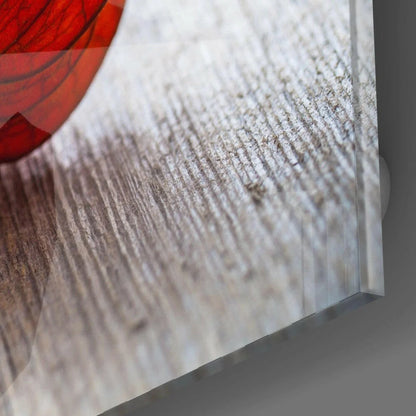 Vibrant red abstract glass wall art on rustic wood background