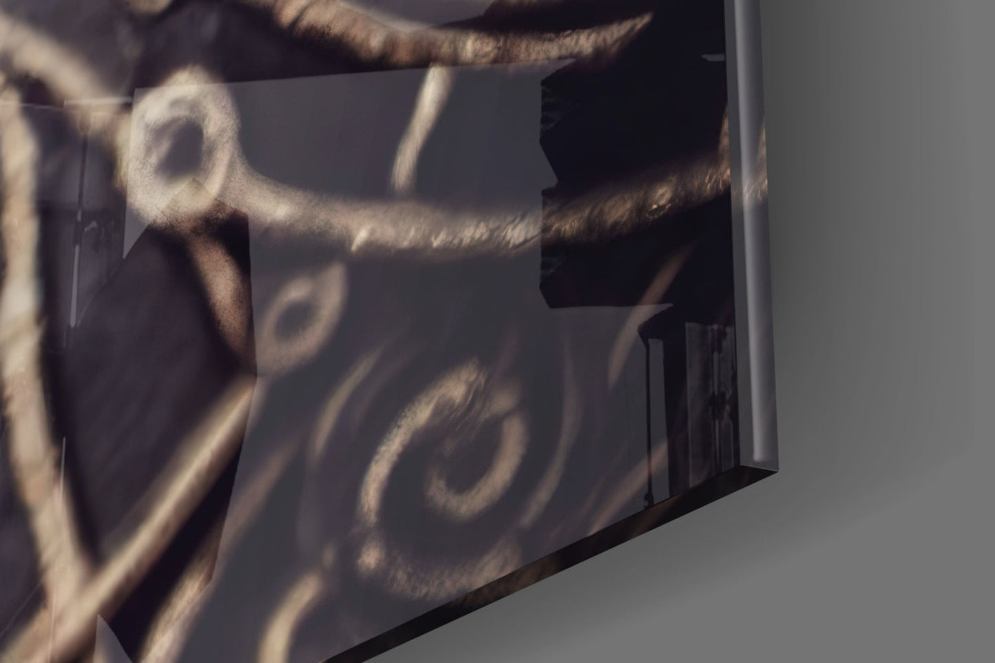 Close-up detail of glass wall art showing bird silhouettes and decorative swirls cast in shadow on white wall surface.