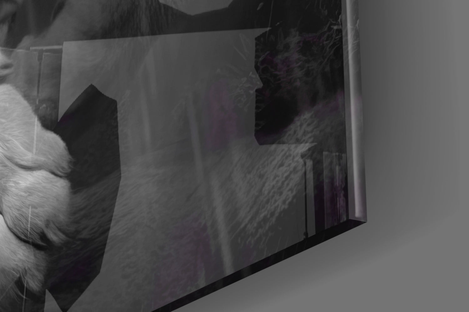 Close-up detail shot showing translucent glass panel with black tiger silhouette and textured surface against white background.