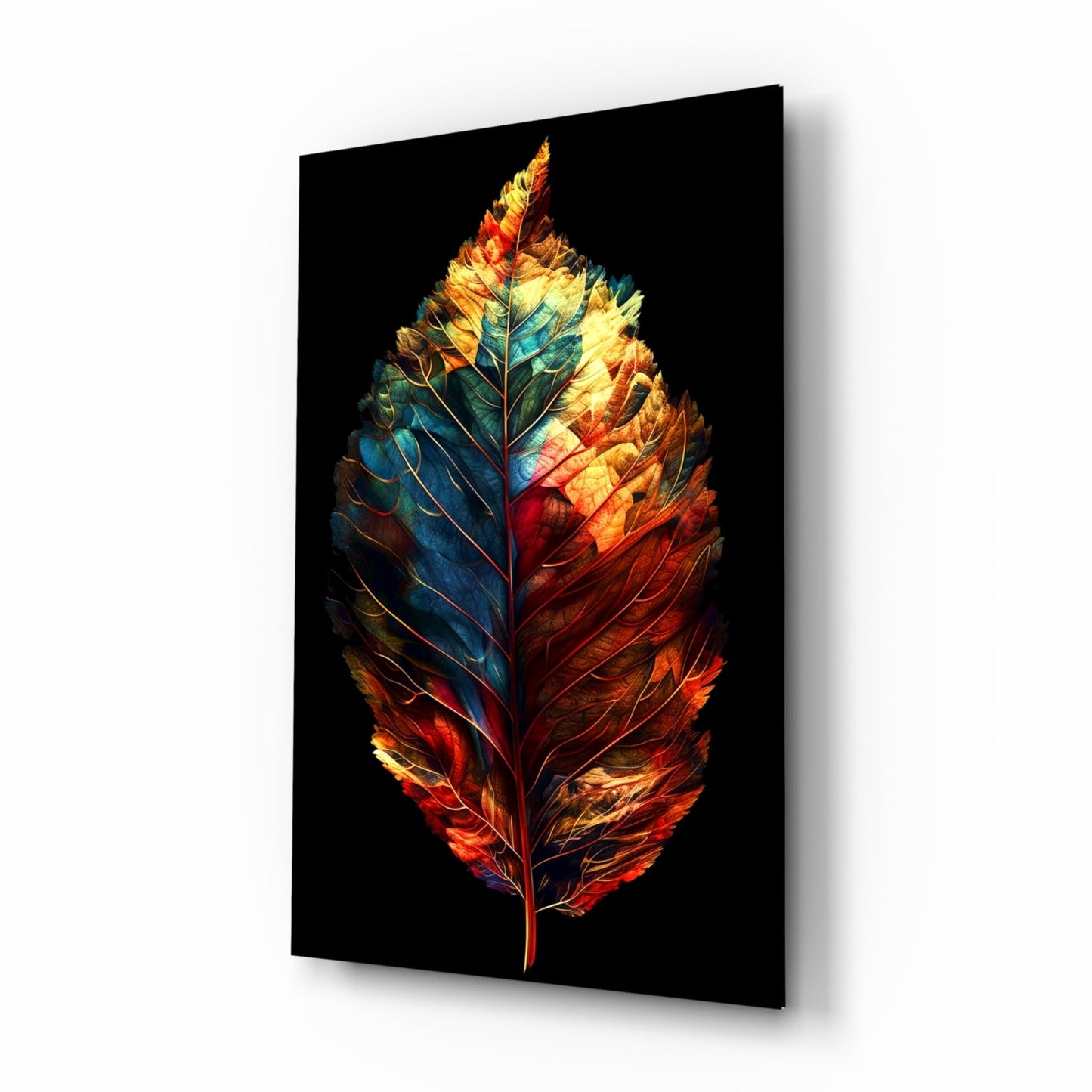 A vibrant multicolored feather with red, orange, yellow, and blue hues displayed against a black background on glass wall art.
