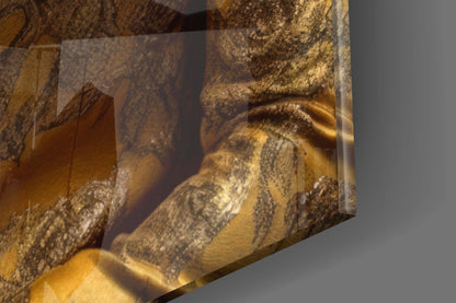 Lion In Gold Brocade Jacket Glass Wall Art