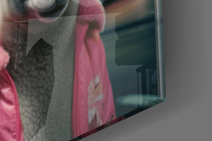 Sheep Duo in Pink Puffer Jackets Glass Wall Art