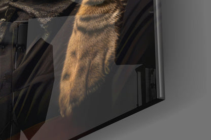 Tabby Cat Gold Tie Boss Chair Glass Wall Art
