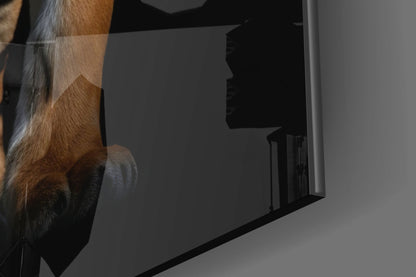 Close-up side view of glass wall art showing brown and tan animal fur texture against dark interior space with black frame edge.
