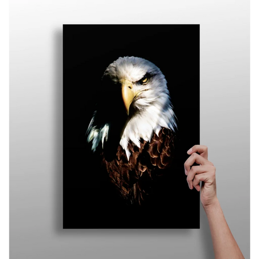 Majestic eagle portrait on insigne aluminum print ready to soar