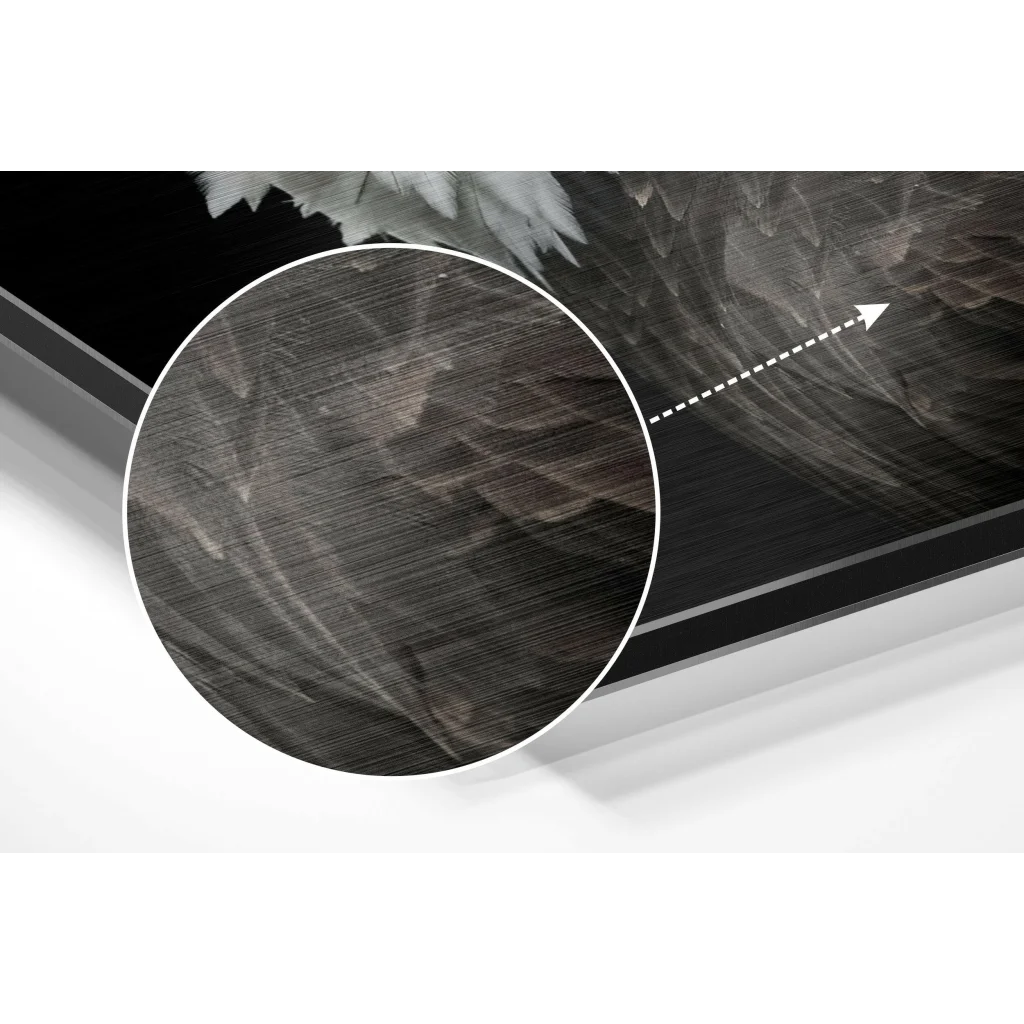 Stunning eagle feather art on brushed aluminium dibond print