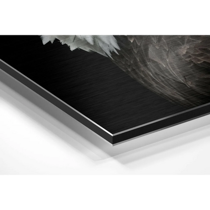 Stunning eagle feather art on brushed aluminium dibond print