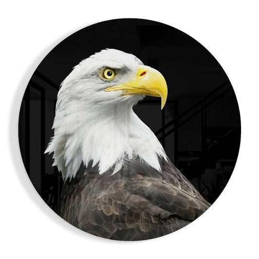 Majestic Bald Eagle Tempered Glass Art with Size Comparison | Insigneart USA | vintageantiquesgifts.com