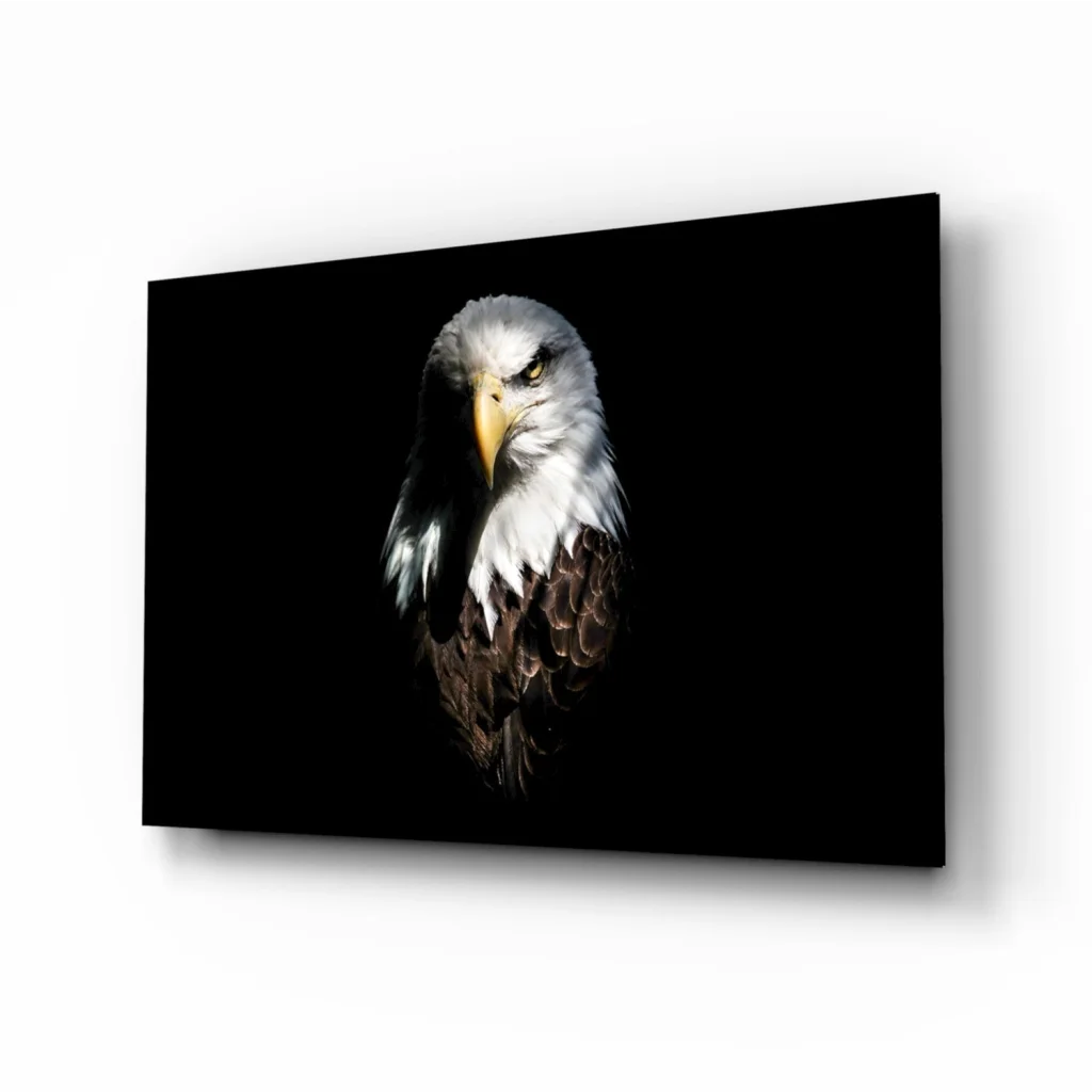 Majestic eagle portrait on black canvas wall art with bold frame