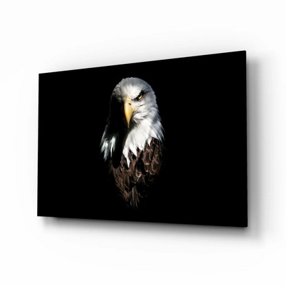 Majestic eagle portrait on black canvas wall art with bold frame