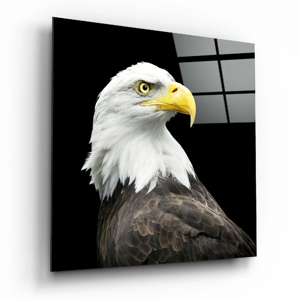 Majestic bald eagle on striking black-and-white glass wall art
