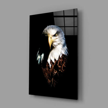 Majestic bald eagle portrait canvas wall art print