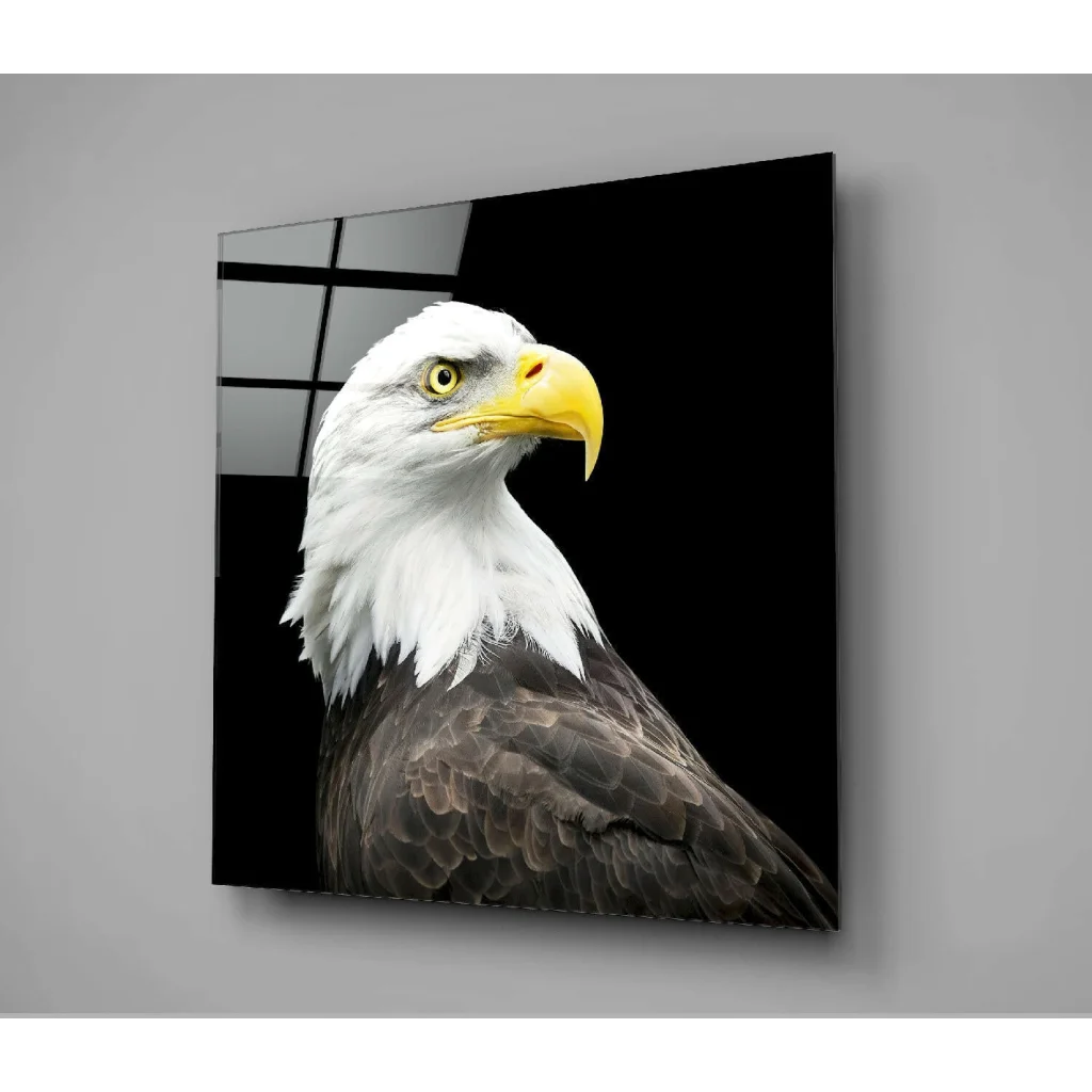 Majestic Bald Eagle glass wall art print on gray wall