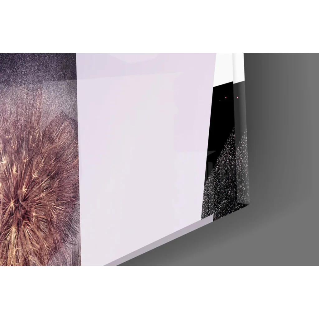 Brown dandelion seed head on geometric pink teal glass wall art canvas