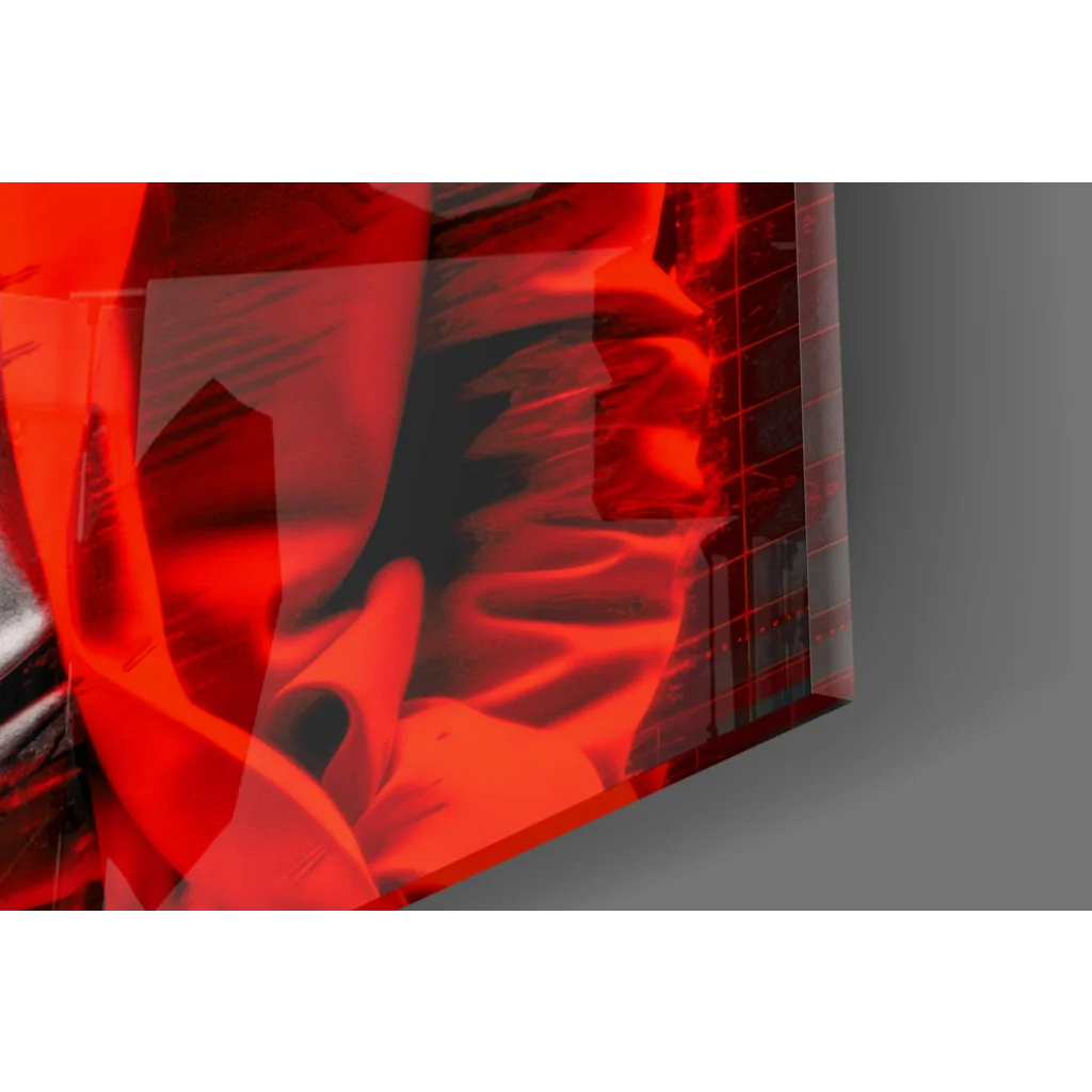 Einstein red leather jacket glass wall art with wallet chain