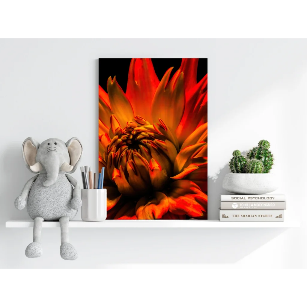 Vibrant orange and red flower on insigne aluminum prints