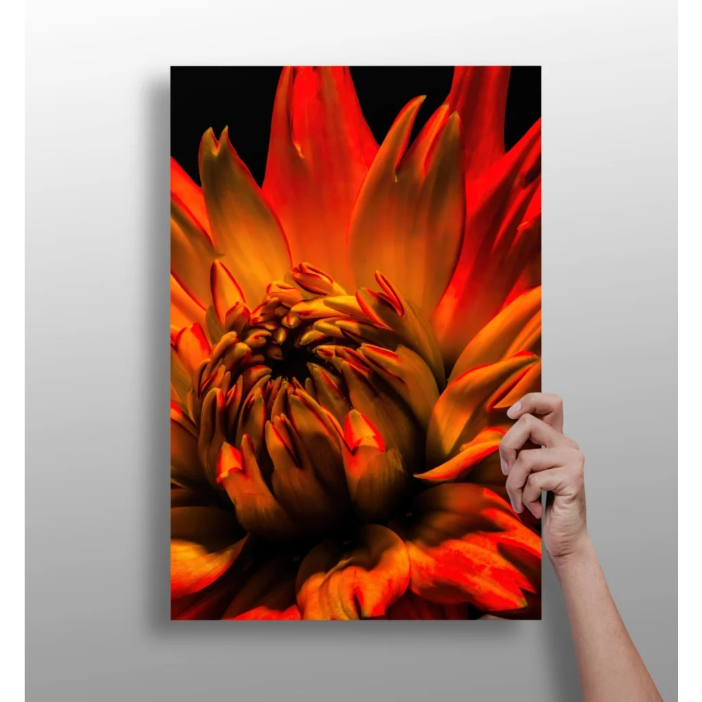 Insigne Aluminum Prints Transform Your Space with Modern Style | Insigneart USA | vintageantiquesgifts.com