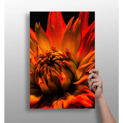 Insigne Aluminum Prints Transform Your Space with Modern Style | Insigneart USA | vintageantiquesgifts.com