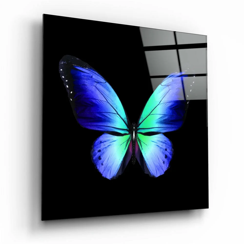Vibrant blue green butterfly glass wall art on sleek black panel