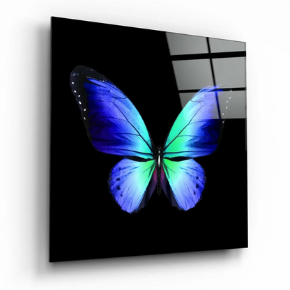 Vibrant blue green butterfly glass wall art on sleek black panel