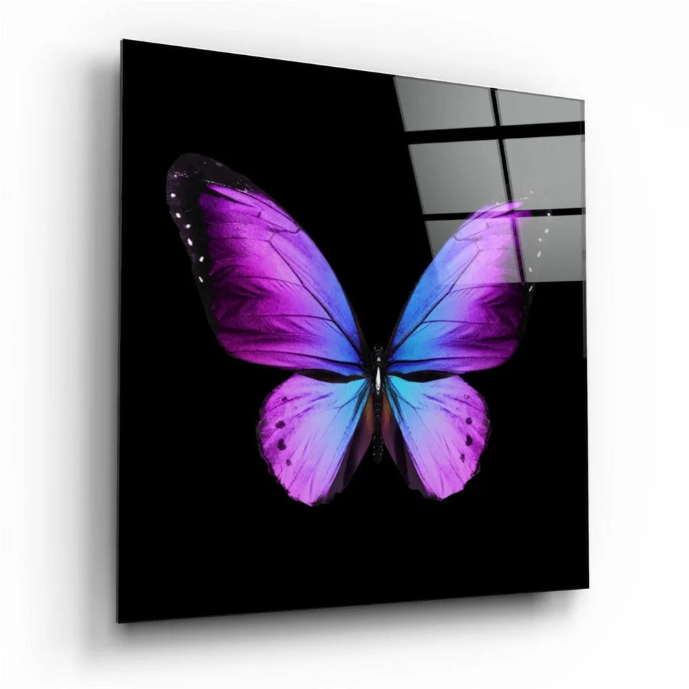Vibrant purple blue butterfly glass wall art on black panel