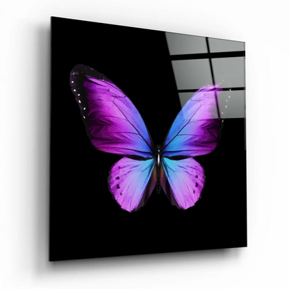 Vibrant purple blue butterfly glass wall art on black panel