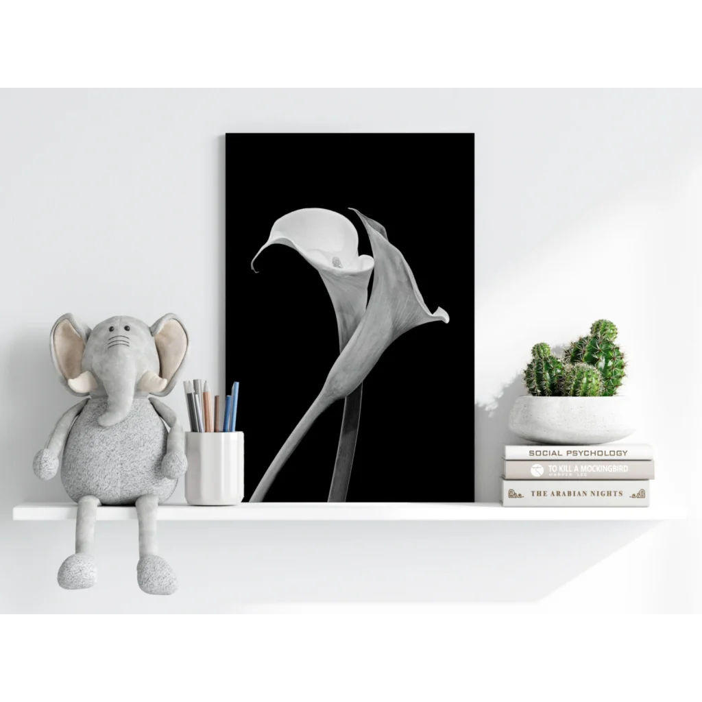 Elegant black-and-white calla lily aluminum wall art print