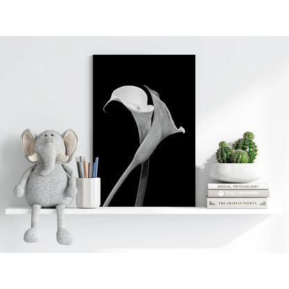 Elegant black-and-white calla lily aluminum wall art print