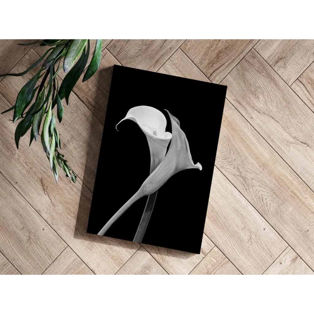 Elegant Calla Lily Black and White Aluminum Wall Art | Modern Wall Art Decor | vintageantiquesgifts.com