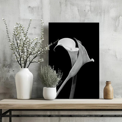 Elegant Calla Lily Black and White Aluminum Wall Art | Glass Wall Art Print | vintageantiquesgifts.com