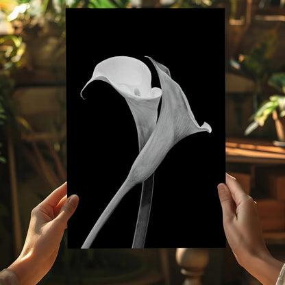 Elegant black-and-white calla lily aluminum wall art print