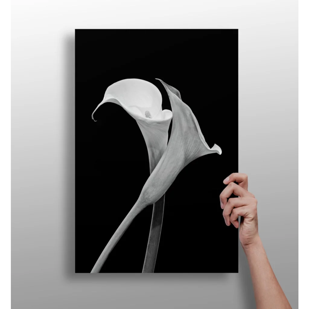 Elegant Calla Lily Black and White Aluminum Wall Art | Insigneart USA | vintageantiquesgifts.com