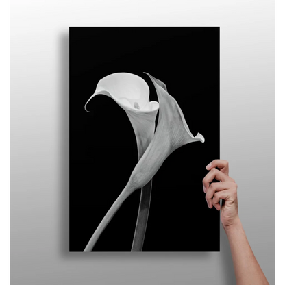 Elegant Calla Lily Black and White Aluminum Wall Art | Insigneart USA | vintageantiquesgifts.com