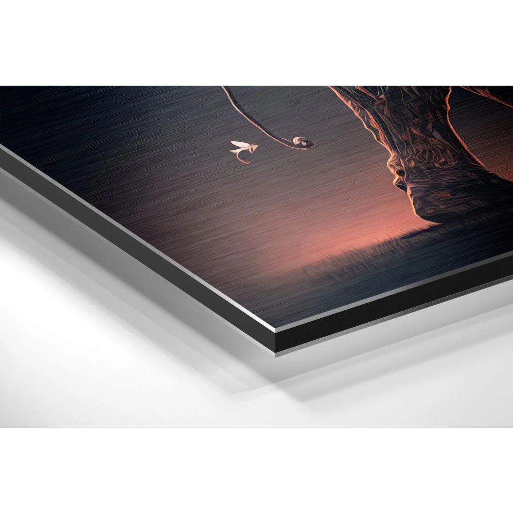 Stunning Brushed Aluminium Dibond Prints That Pop | Glass Wall Art Print | vintageantiquesgifts.com