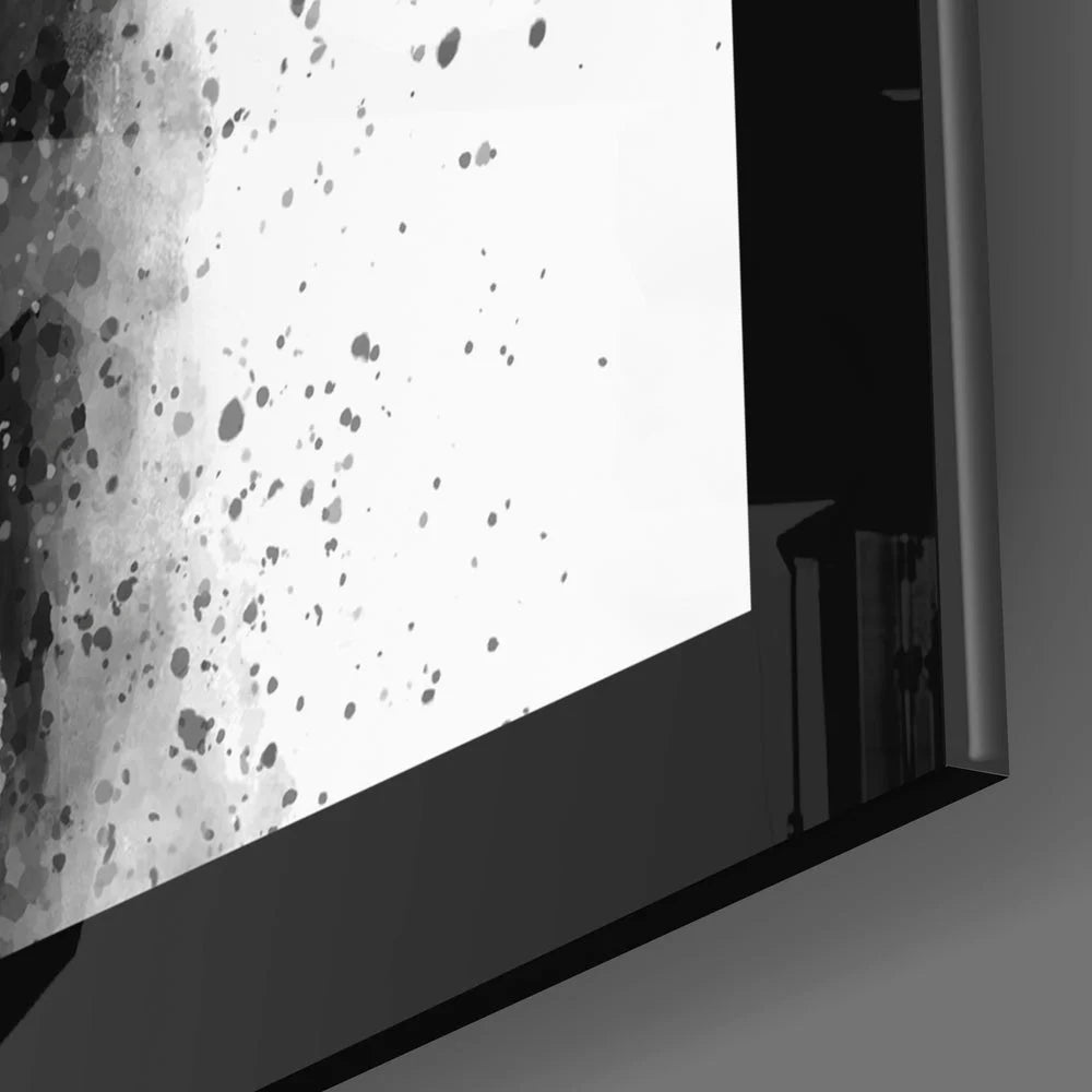 Black and white elephant splash wall art on glass