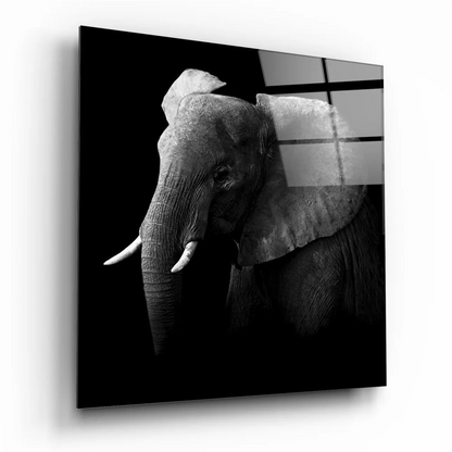 Majestic Elephant Tempered Glass Art Panel | Insigneart USA | vintageantiquesgifts.com