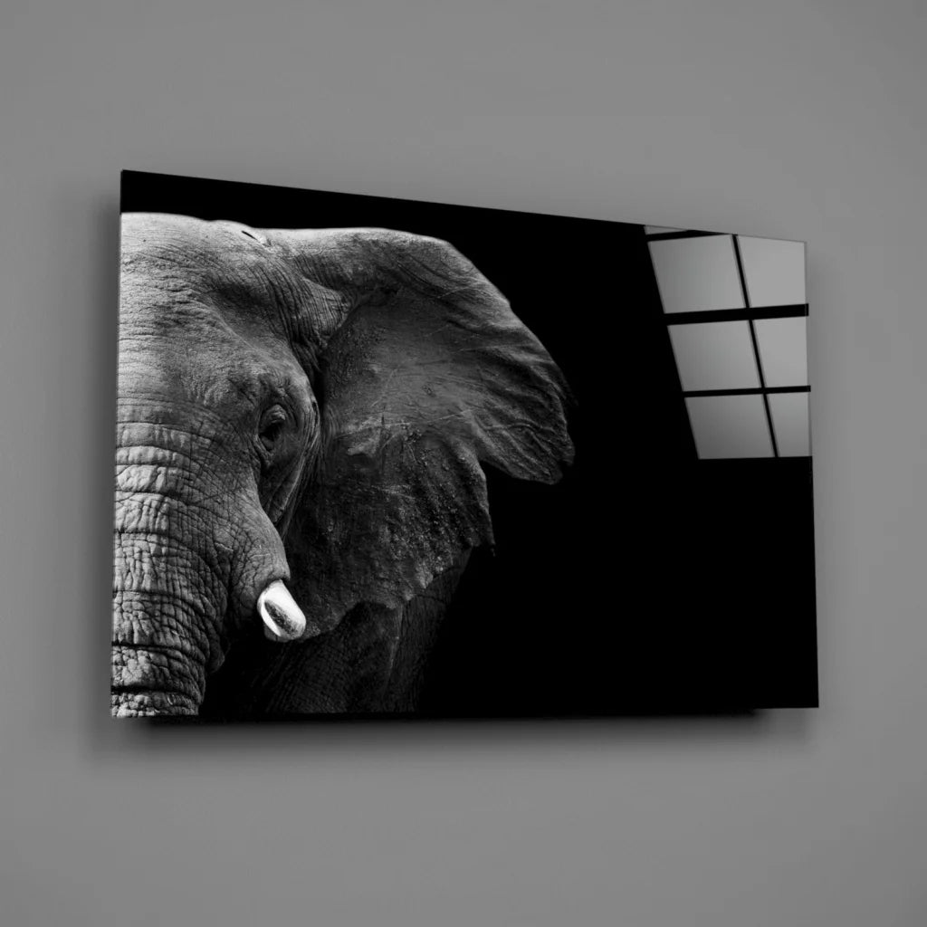 Majestic black-and-white elephant canvas wall art close-up