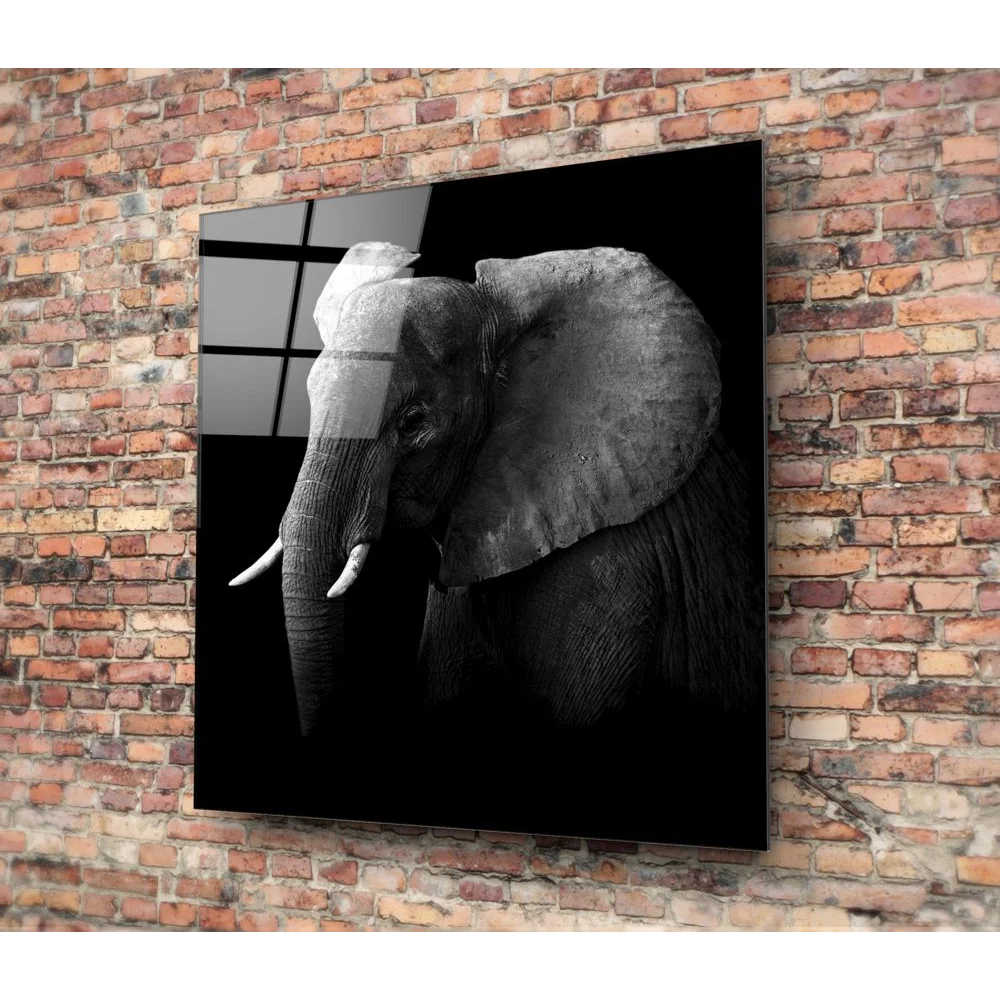 Majestic Elephant Tempered Glass Art Panel | Modern Wall Art Decor | vintageantiquesgifts.com
