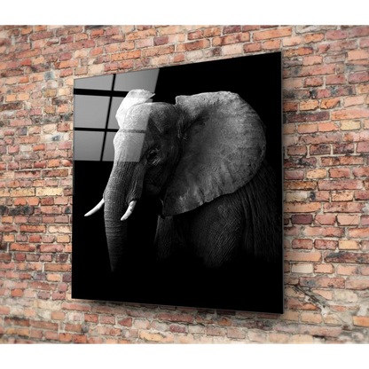 Majestic Elephant Tempered Glass Art Panel | Modern Wall Art Decor | vintageantiquesgifts.com